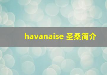 havanaise 圣桑简介